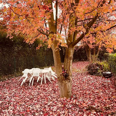 Tatil Evi Nouveau ! Refait A Neuf ! *